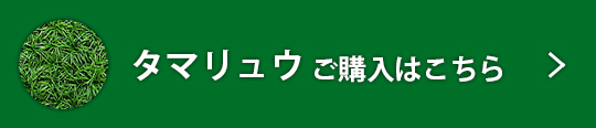 タマリュウ